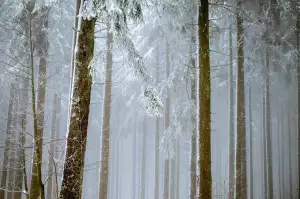 Práce Nový Jičín Ranní Směny